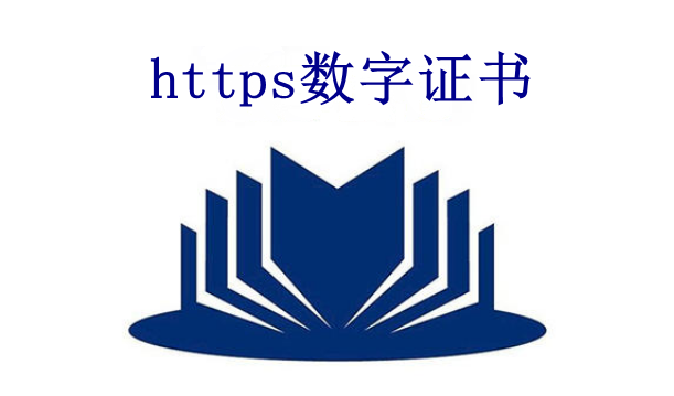 https數字證書是什么？價格是多少？_【蜘蛛池】