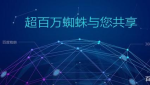 蜘蛛池新手入門_蜘蛛池是什么
