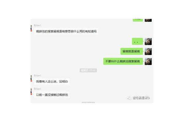 什么是seo留痕蜘蛛池圖片_什么是seo留痕蜘蛛池的意思