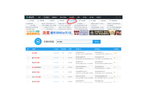 怎么尋找蜘蛛池