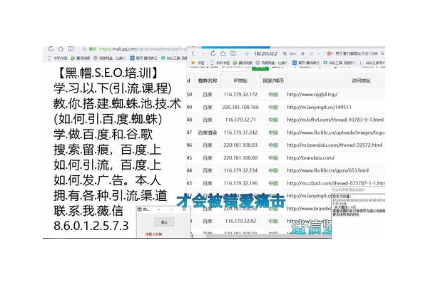 蜘蛛池排名技術