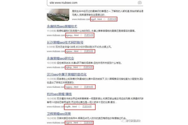 蜘蛛池泛目錄