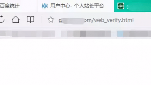 蜘蛛池官網_蜘蛛池模板
