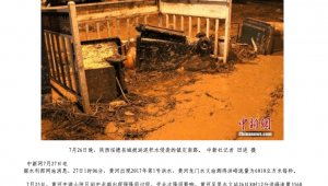 民工蜘蛛池
