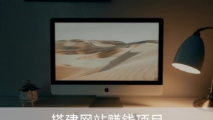 蜘蛛池 計費系統 seo