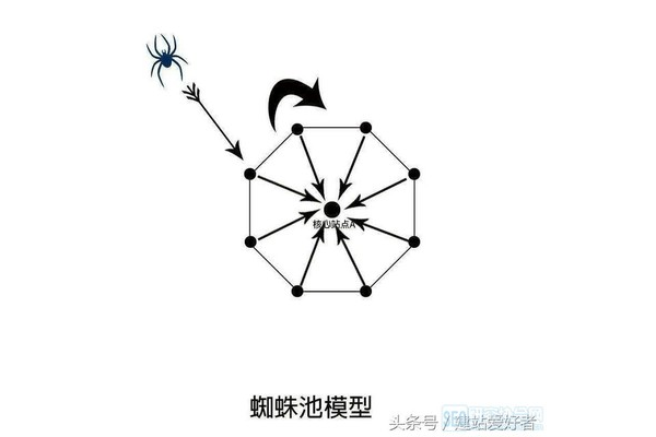 蜘蛛抓取蜘蛛池怎么做_蜘蛛捕捉蟲子