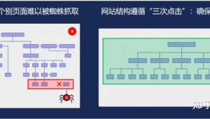 蜘蛛池到底有沒有用_蜘蛛池使用教程