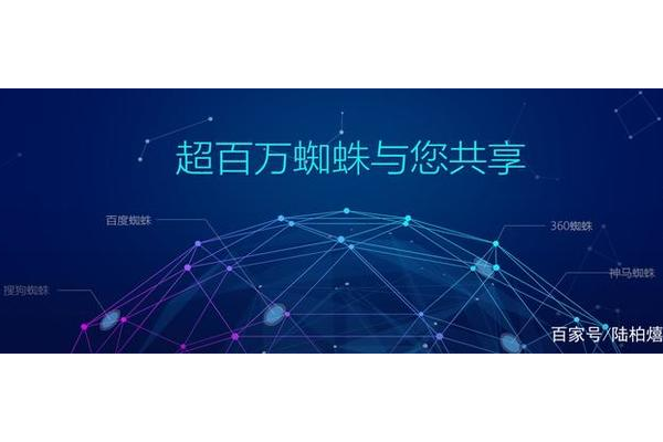 蜘蛛池有效嗎