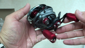 紅蜘蛛系統怎么脫離控制_紅蜘蛛磚