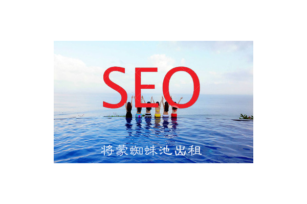 蜘蛛池算法開發