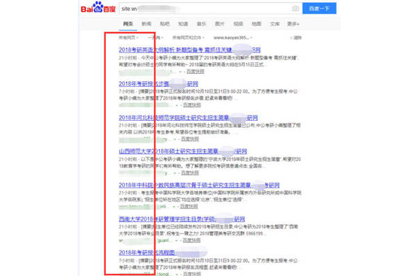 蜘蛛池優化技術