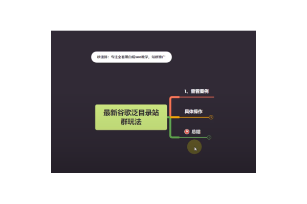 蜘蛛池谷歌模板