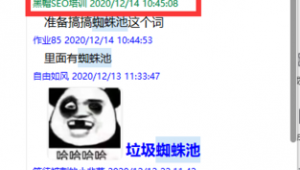 免費百度蜘蛛池_百度蜘蛛池 關鍵詞排名
