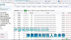 蜘蛛池新手入門_蜘蛛池提高權重