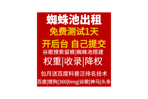 最新 蜘蛛池搭建