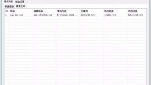 鏡像蜘蛛池