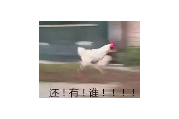蜘蛛池有什么用_蜘蛛池到底有沒有用