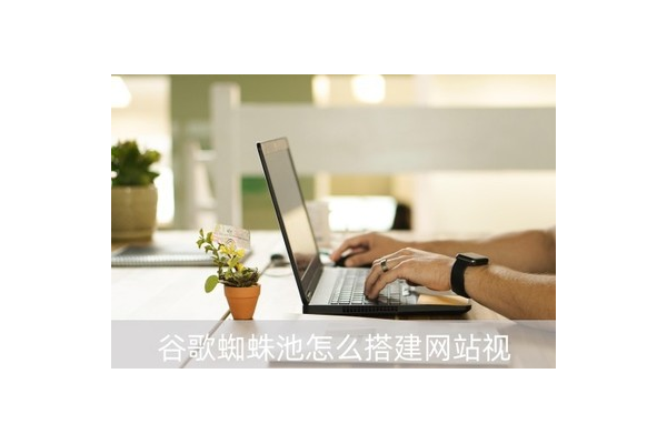 谷歌蜘蛛池 開發