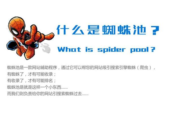 蜘蛛池蜘蛛太少會死嗎_蜘蛛池為什么沒有效果