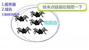 如何構建蜘蛛池_搭建蜘蛛池需要多少錢