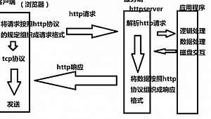 超級蜘蛛池這個垃圾_超級蜘蛛外鏈