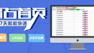 最新蜘蛛池站群系統_蜘蛛池收錄一般要多久