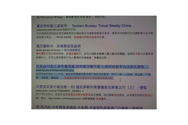 蜘蛛池5000個鏈接_蜘蛛論壇老九蜘蛛網