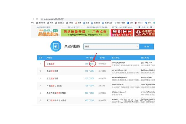 蜘蛛池怎么優化