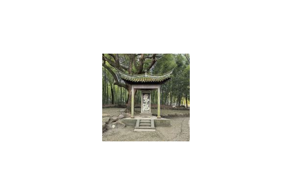 鵝掌蜘蛛痣屬于什么的臨床表現_蜘蛛池怎么養