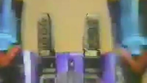 養蜘蛛怎么布置環境_蜘蛛養殖注意什么