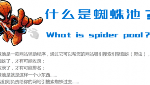 蜘蛛池怎么賺錢_自建蜘蛛池
