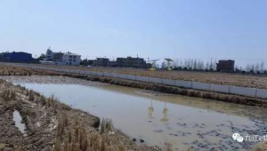 蜘蛛池的原理和實現方法_蜘蛛池作用