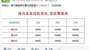 蜘蛛池 多少錢
