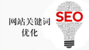 seo蜘蛛池怎么搭建_seo蜘蛛池快速收錄