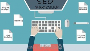 百度蜘蛛池是什么_seo_seo技術蜘蛛屯
