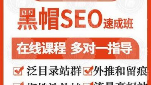 免費蜘蛛池seo 優化