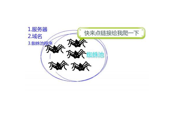 蜘蛛池導致蜘蛛來太多