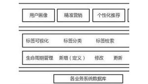 如何構建蜘蛛池視頻_蜘蛛池新手入門