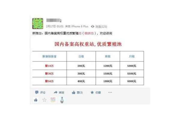 蜘蛛池怎么養_蜘蛛池價格
