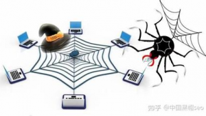 蜘蛛池留痕技術要求_蜘蛛池教程