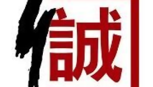 上海蜘蛛網_上海本地蜘蛛種類