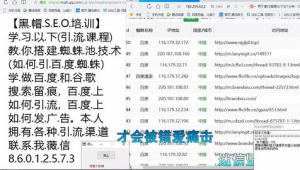 百度蜘蛛池自動收錄seo_百度首頁排名優化