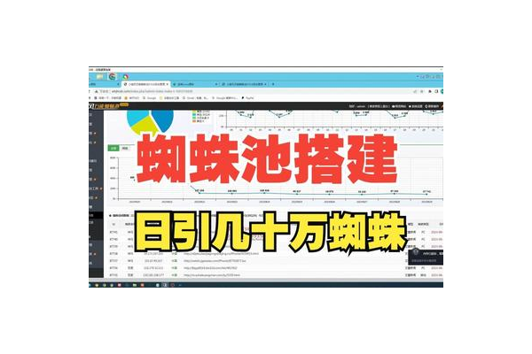 蜘蛛池 教學