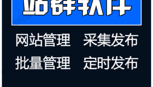蜘蛛池效果_蜘蛛池如何搭建