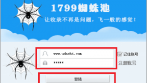 訊風蜘蛛池